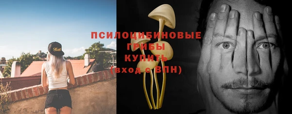 бутират Надым