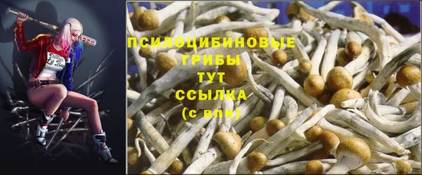соль курить ск Наволоки