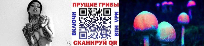 Псилоцибиновые грибы мицелий  Купить где  Владивосток 